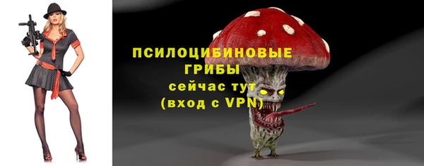 эйфоретик Богданович