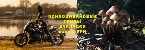 эйфоретик Богданович