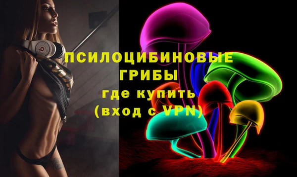 эйфоретик Богданович