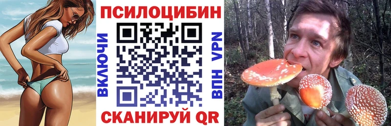 купить наркоту  Ленинградская  Галлюциногенные грибы Cubensis 